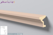 FA10 LIGHT